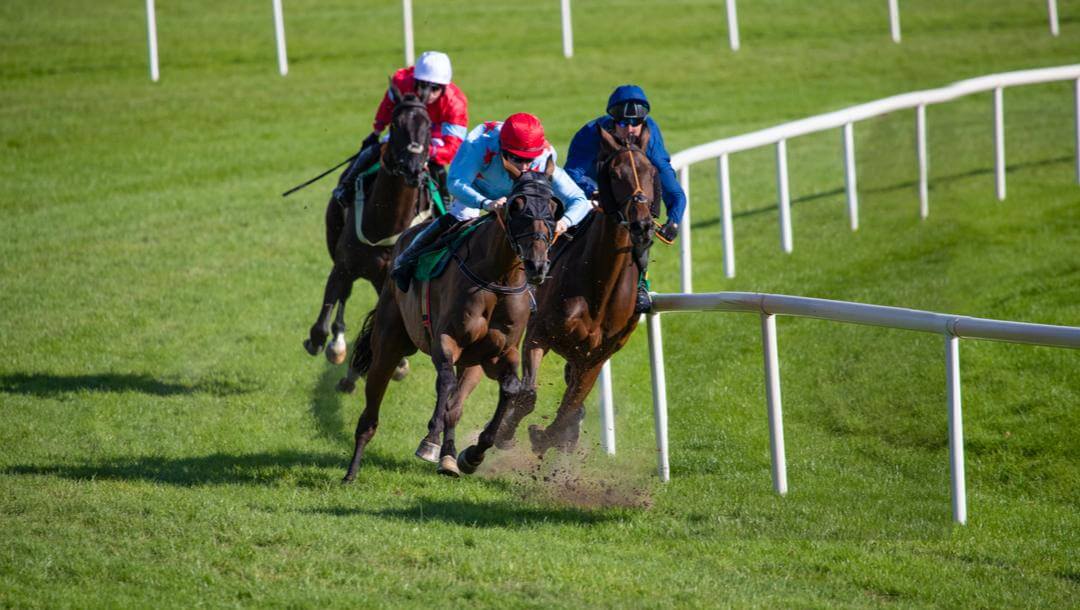 New Zealand Horse Racing Betting Tips